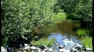 Зелёная страна