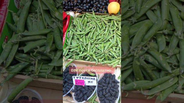 Цены на сенном рынке СПб. Всё почти бесплатно. Работает до 20:00. Оплата налом только. #спб смотреть онлайн