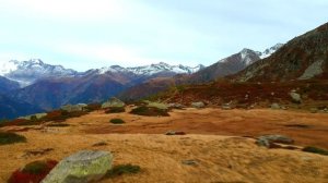 Не думать ТИЗЕР