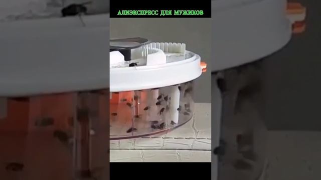 Самая хорошая электрическая мухоловка Fly Trap