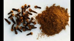 Гвоздика применение в кулинарии ПРЯНОСТЬ