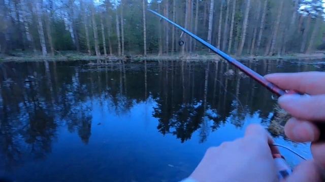 Клев рыбы на нересте.Лучшая приманка для ловли ротана#fishing#ловлянаджиг #врейтинг#streetfishing