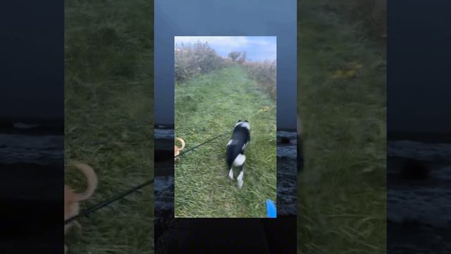 1000002479.mp4 смотреть онлайн