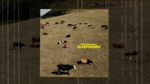 Тёма Балалайкин - На адреналине (Официальная премьера трека)