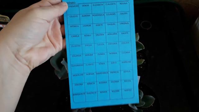 Rifa de suculentas Echeveria Anjo Caído, Kalanchoe Oricula, Rulosa da Gladis, Big Red Francesa. смотреть онлайн