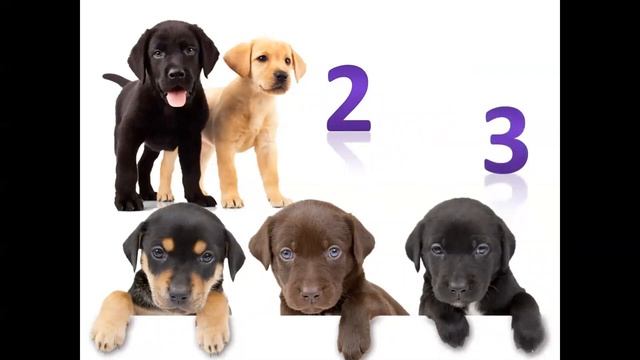 Состав числа 5, решение задач, второй час смотреть онлайн