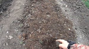 Как посадить весной малину "Маравиллу" в Траншею!