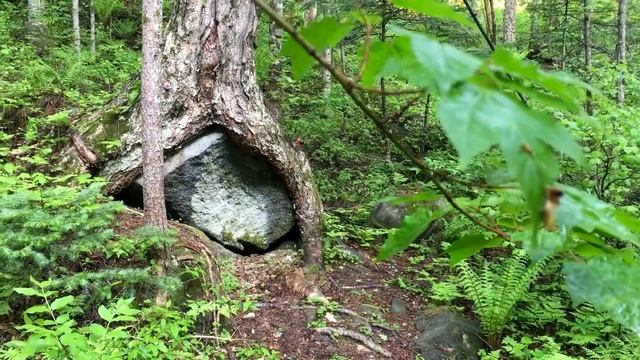 Рerfect kid. Поход за силой смотреть онлайн