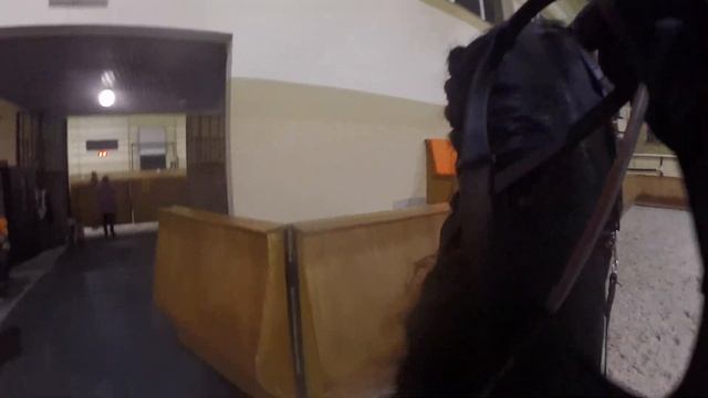 Работа лошади глазами всадника (GoPro) / Ната Кони смотреть онлайн