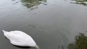 парки и зоны отдыха