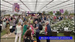 Raymond Evison Clematis - The RHS Chelsea Flower Show 2023.