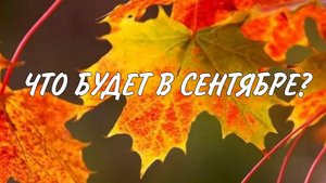 Что будет в сентябре? #прогноз