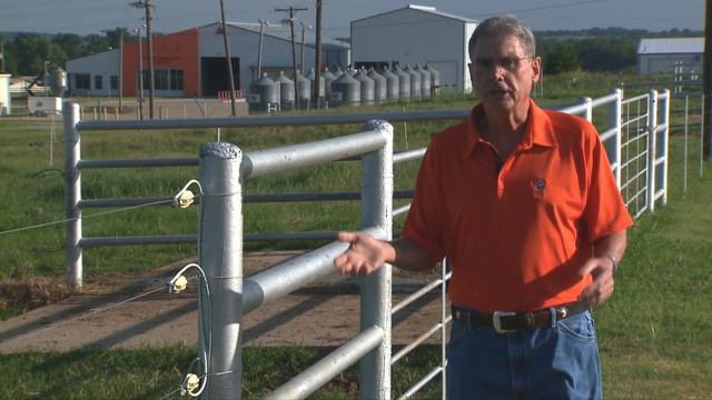 Cow-Calf Corner - The impact of heat stress (7/13/19) смотреть онлайн