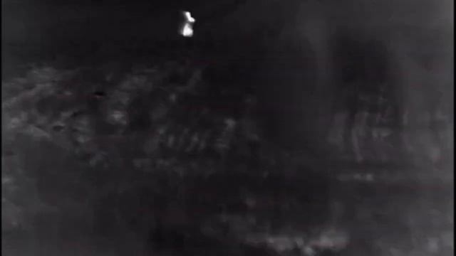 ОХОТА НА ВОЛКА НА ВАБУ. Первый раз ваблю на видео. Волк отозвался .#волкнавабу#охотанаволка#Волк