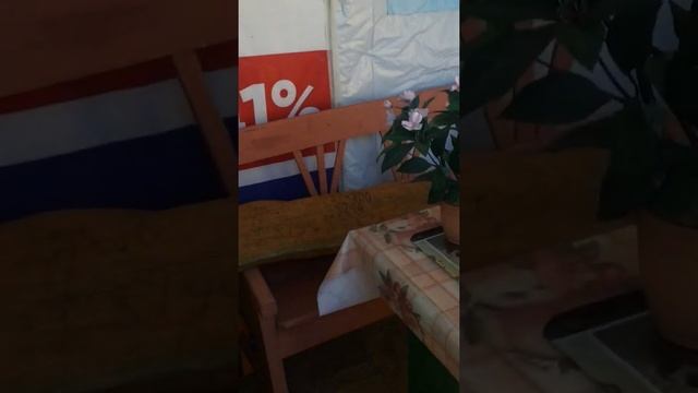 СКАЗОЧНАЯ БАБУШКА УКРАСИЛА СВОЙ ДВОР ИГРУШКАМИ. И теперь она не одинока. смотреть онлайн