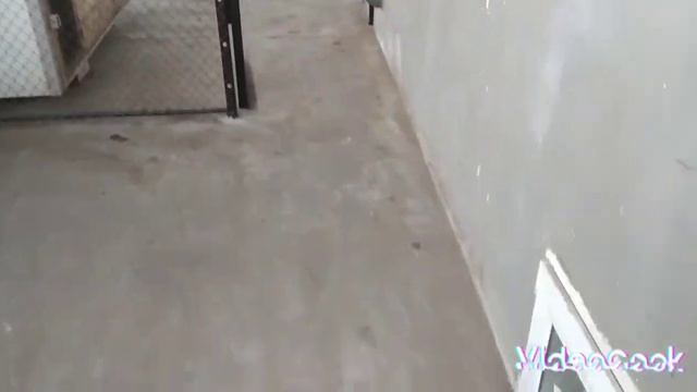 Двери в курятник своими руками #куряткик #куры #сделайсам смотреть онлайн