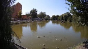 Миргород / Миргородская лужа / Time lapse