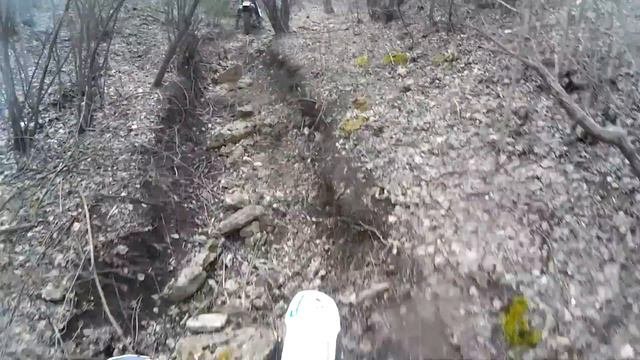 распутница 2017