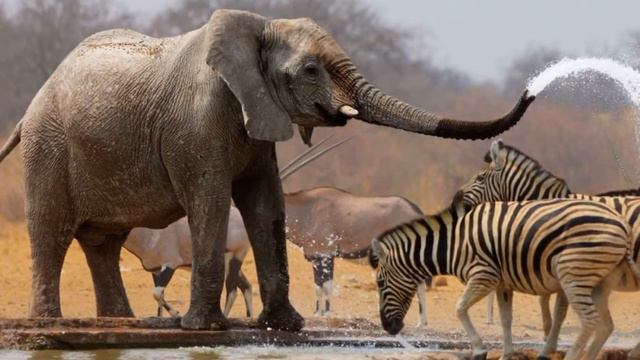 Мудрость с духовных страниц 14 смотреть онлайн