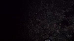 Minelab explorer SE стоило ли покупать в 2022 году?!