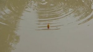 Mancing Di Sungai Besar Selesai Banjir