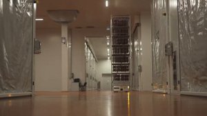 Завод "Черкизово"