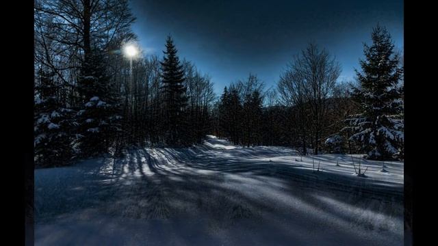 Ночь, звёзды и заснеженные ели | Фотоподборка | Вдохновляющие картинки смотреть онлайн