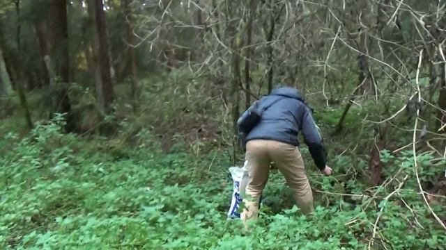 Осенние грибы собираем в германии. смотреть онлайн