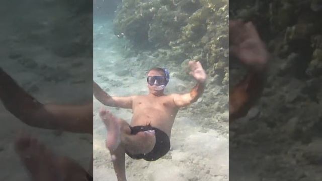 Морская прогулка на красном море сентябрь 2021 смотреть онлайн