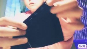 Как сделать гамак для хомяка?