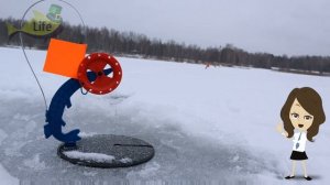 Когда весенний преднерестовый жор щуки в марте? Как ловить щуку в марте?