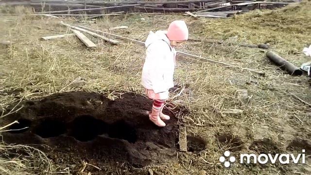 Кот прораб, Люба маляр, канава,масло, строим дом смотреть онлайн