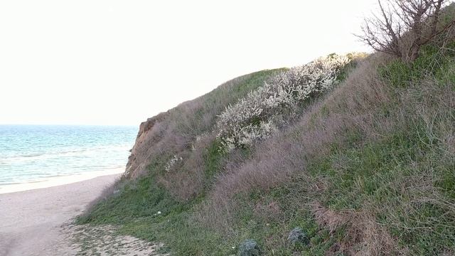 Земельные участки Санжейка и Леонидово. Море - отдых - дача смотреть онлайн