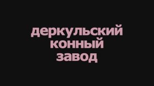 Деркульский конный завод