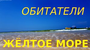 ЖЁЛТОЕ МОРЕ и его обитатели.  ??