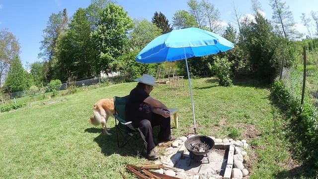 10. Дачный дневник. Мечта сбылась смотреть онлайн