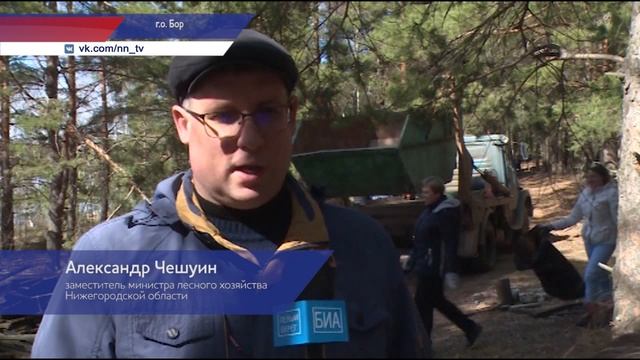 Несанкционированную свалку убрали на территории Борского районного лесничества