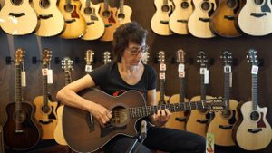 Taylor 322ce 12 Fret Tasmanian Blackwood 1107256104