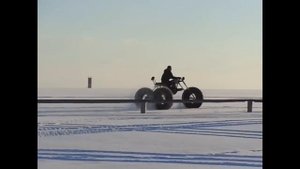 Каракат на ободрышах