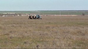ВСЕРОССИЙСКИЕ СОСТЯЗАНИЯ СОБАК БОРЗЫХ ПОРОД 2013г Часть 1