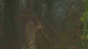 Самый Лучший Гайд на Шао Кана МК11 для новичков | Shao Kahn kombo guide