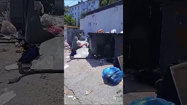 "За что мы платим деньги?!": мусорная катастрофа в новороссийском дворе