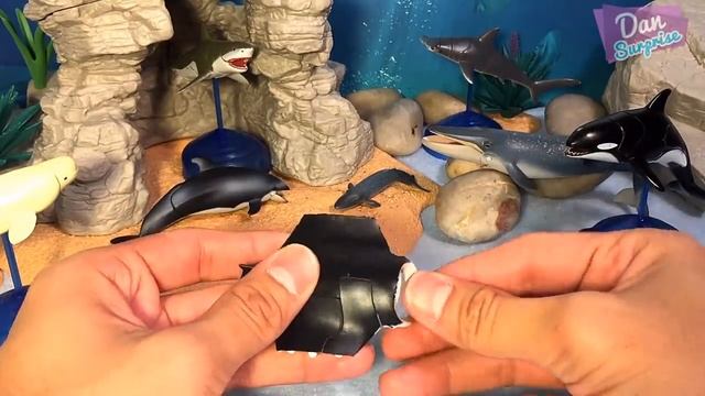 15 SEA ANIMALS NAMES - Great White Shark Whale Manta Ray Beluga Turtle смотреть онлайн