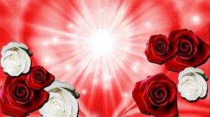 БЕСПЛАТНО Футаж розы 4.mp4