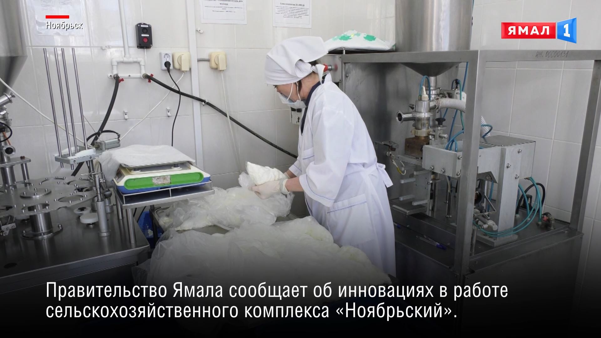 Сельскохозяйственного комплекса «Ноябрьский» рассчитывает снизить себестоимость продукции