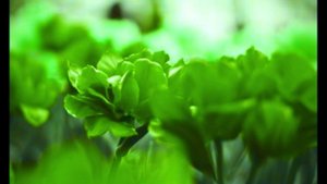 Господь, пребудь Ты с нами