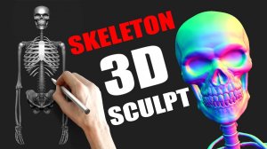 3D Скелет с Нуля | Zbrush Sculpting Skeleton Anatomy