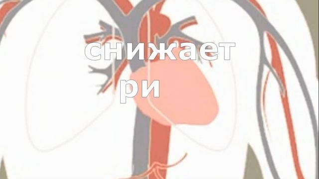 Что творит ЧЕРЕШНЯ с организмом? Черешня ПОЛЬЗА и ВРЕД!