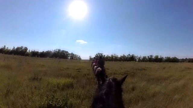 Конный поход 30 06 18 1 часть 3veg