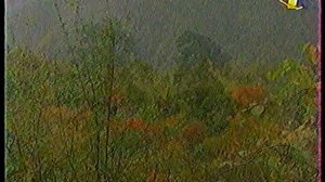 В мире животных (ОРТ, 12.02.2000)